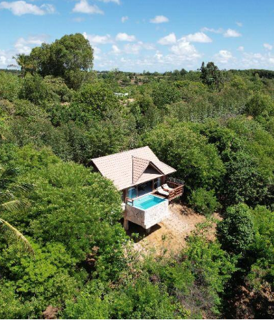 Ecolodge: Bangalôs para aluguel